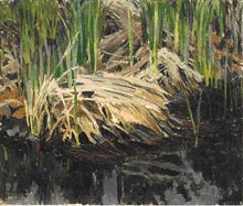 Hainard exposition Espace Arlaud